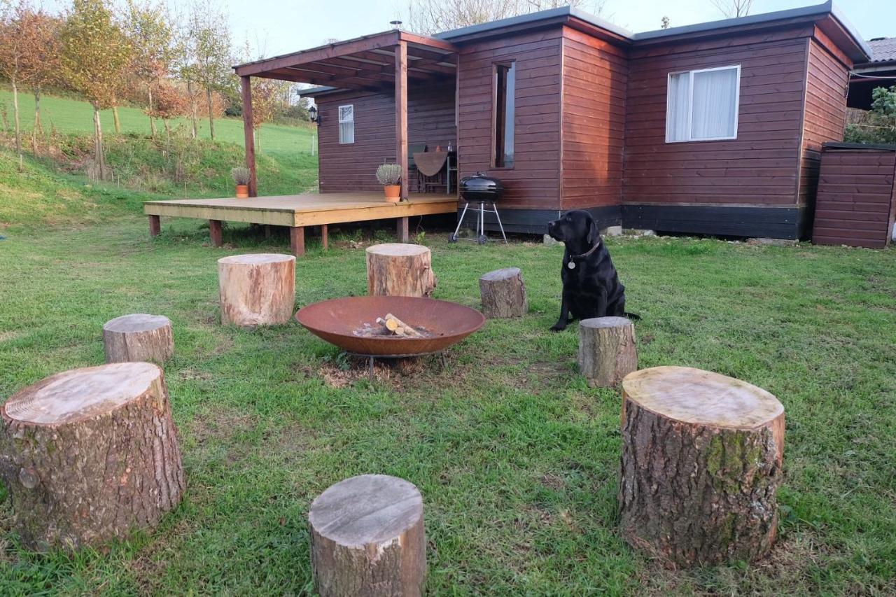 Cozy And Peaceful Cabin 15 Mins From Lyme Regis Villa Bridport Exterior photo