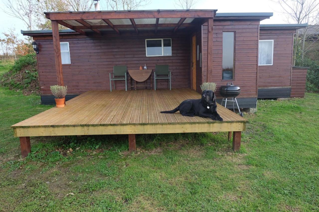 Cozy And Peaceful Cabin 15 Mins From Lyme Regis Villa Bridport Exterior photo